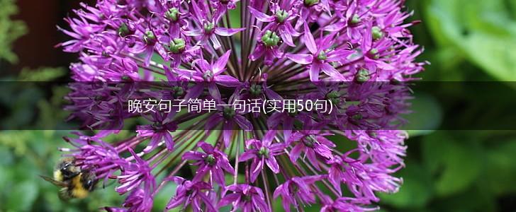 晚安句子简单一句话(实用50句),第1张