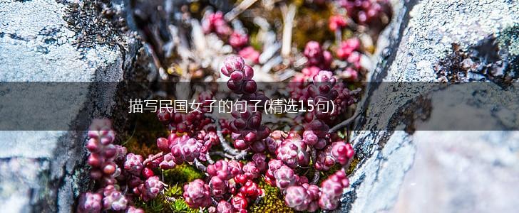 描写民国女子的句子(精选15句),第1张