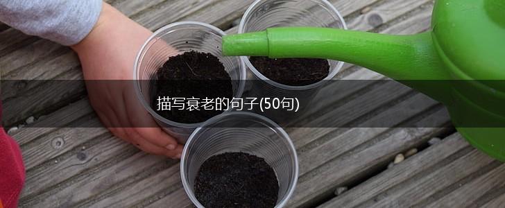 描写衰老的句子(50句),第1张
