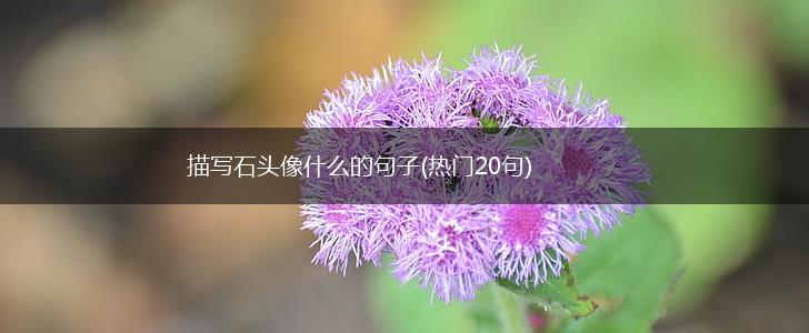 描写石头像什么的句子(热门20句),第1张