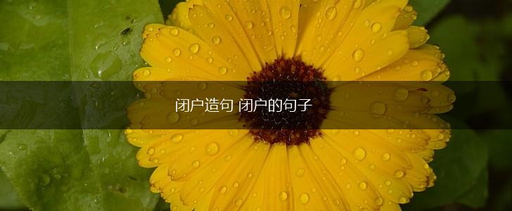 闭户造句 闭户的句子,第1张 闭户造句 闭户的句子,第1张