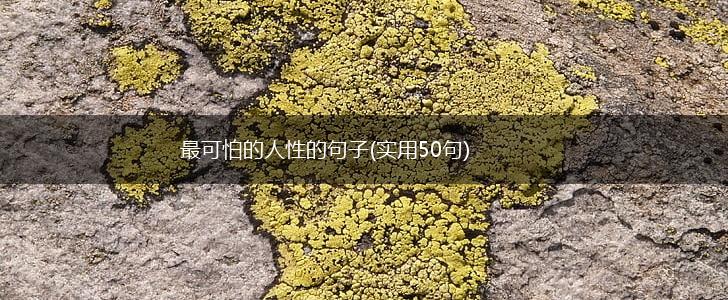 最可怕的人性的句子(实用50句),第1张