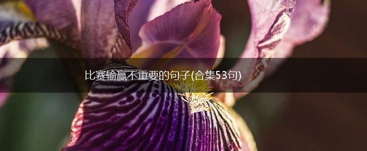 比赛输赢不重要的句子(合集53句),第1张