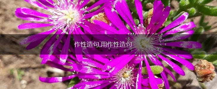作性造句,用作性造句,第1张 作性造句,用作性造句,第1张