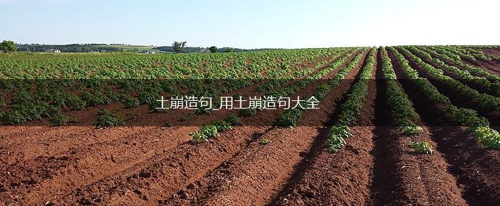 土崩造句_用土崩造句大全,第1张