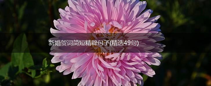 新婚贺词简短精辟句子(精选49句),第1张