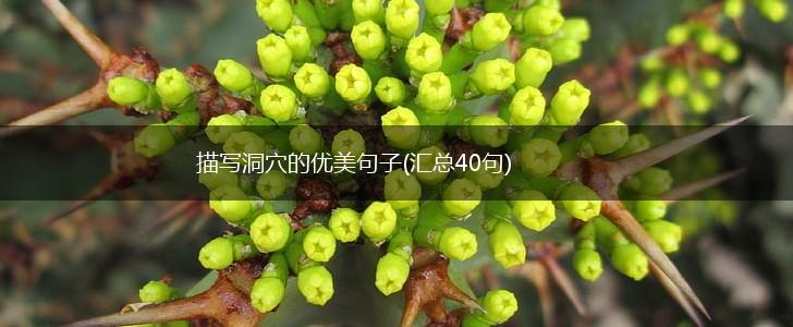 描写洞穴的优美句子(汇总40句),第1张
