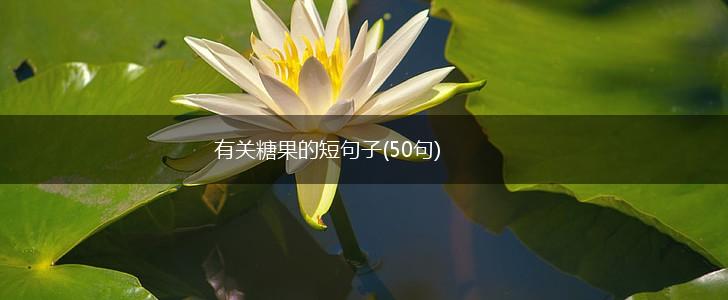有关糖果的短句子(50句),第1张