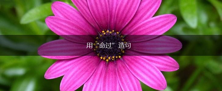 用“命过”造句,第1张 用“命过”造句,第1张