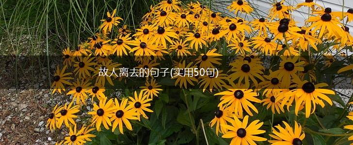 故人离去的句子(实用50句),第1张