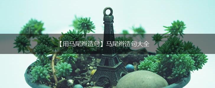 【用马尾辫造句】马尾辫造句大全,第1张