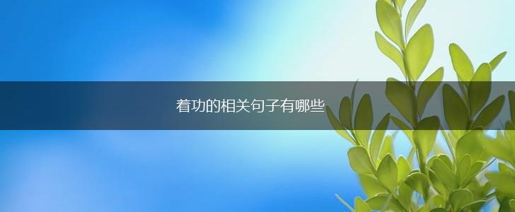 着功的相关句子有哪些,第1张