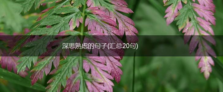 深思熟虑的句子(汇总20句),第1张