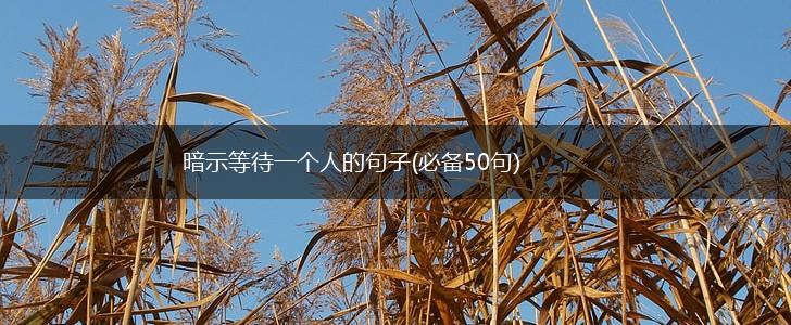 暗示等待一个人的句子(必备50句),第1张