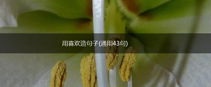 用喜欢造句子(通用43句),第1张