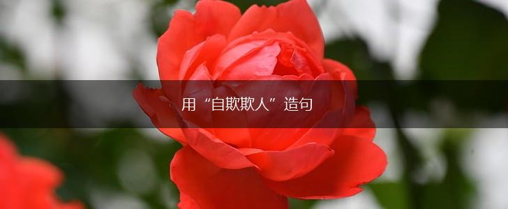 用“自欺欺人”造句,第1张 用“自欺欺人”造句,第1张