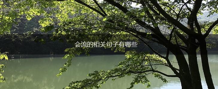 会流的相关句子有哪些,第1张 会流的相关句子有哪些,第1张