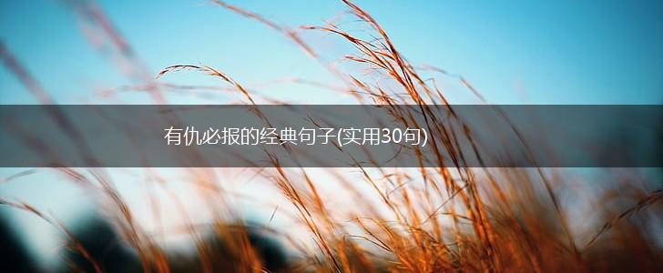 有仇必报的经典句子(实用30句),第1张