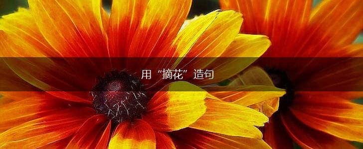 用“摘花”造句,第1张
