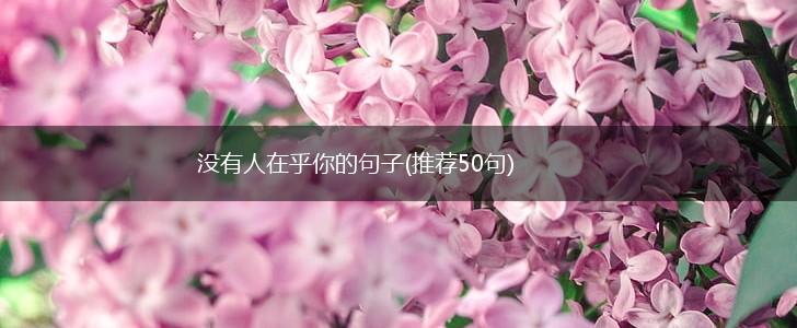 没有人在乎你的句子(推荐50句),第1张