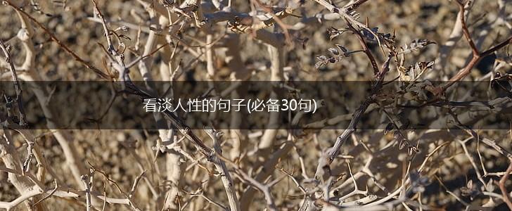 看淡人性的句子(必备30句),第1张