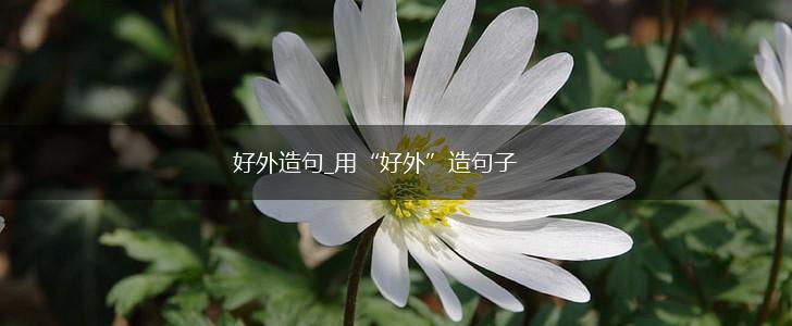 好外造句_用“好外”造句子,第1张