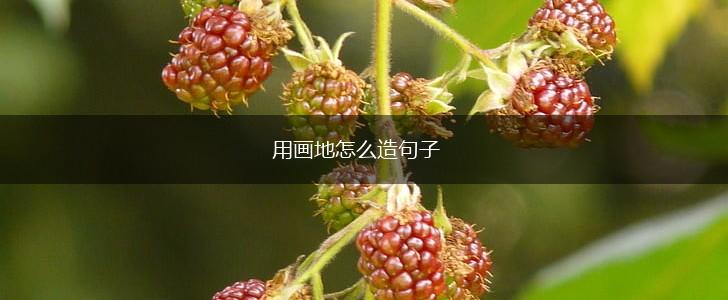 用画地怎么造句子,第1张