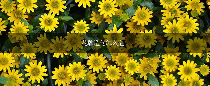 花牌造句怎么造,第1张 花牌造句怎么造,第1张