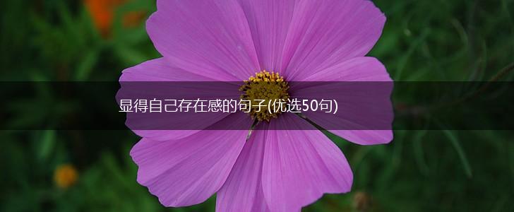 显得自己存在感的句子(优选50句),第1张