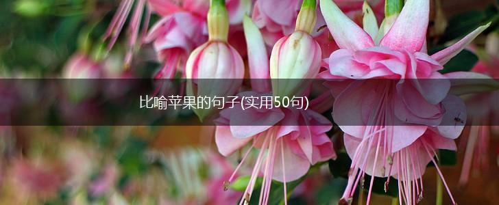 比喻苹果的句子(实用50句),第1张
