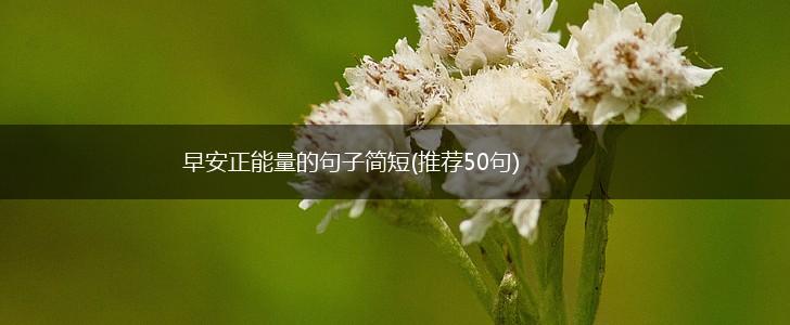 早安正能量的句子简短(推荐50句),第1张