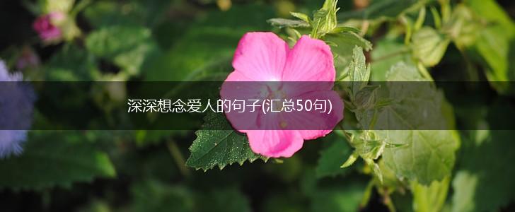 深深想念爱人的句子(汇总50句),第1张
