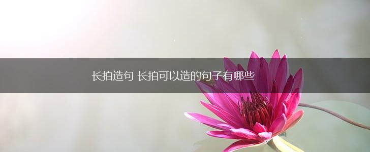 长拍造句 长拍可以造的句子有哪些,第1张