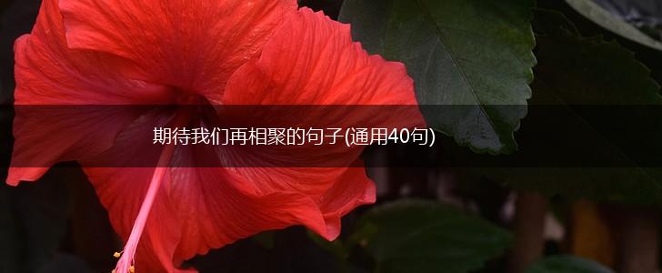期待我们再相聚的句子(通用40句),第1张