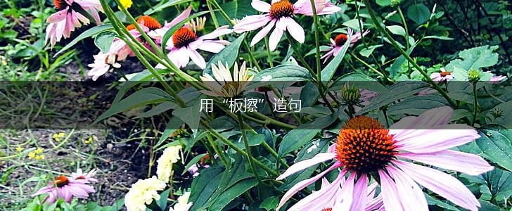 用“板擦”造句,第1张
