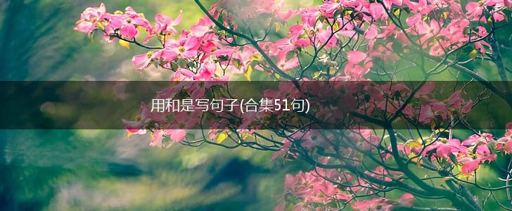 用和是写句子(合集51句),第1张
