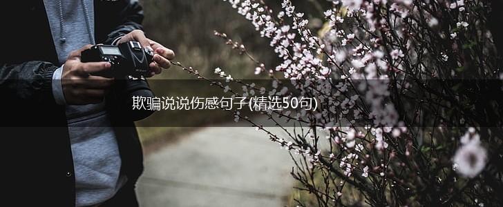 欺骗说说伤感句子(精选50句),第1张