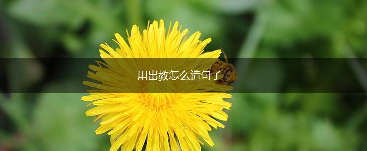 用出教怎么造句子,第1张