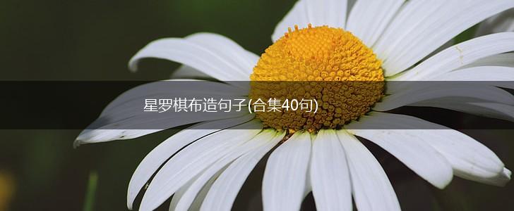 星罗棋布造句子(合集40句),第1张