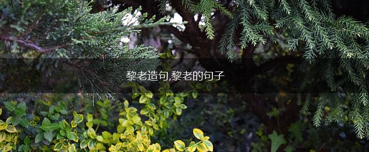 黎老造句,黎老的句子,第1张