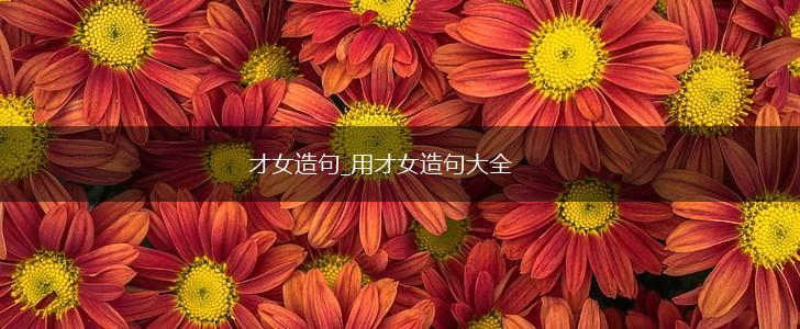才女造句_用才女造句大全,第1张 才女造句_用才女造句大全,第1张