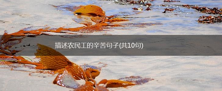 描述农民工的辛苦句子(共10句),第1张