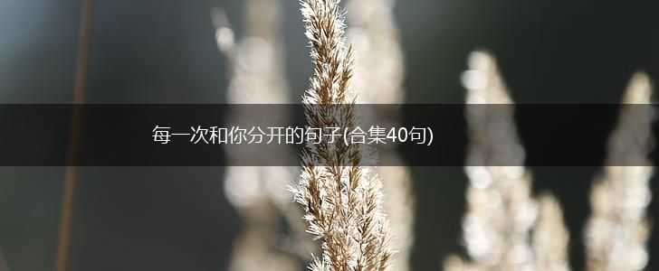 每一次和你分开的句子(合集40句),第1张