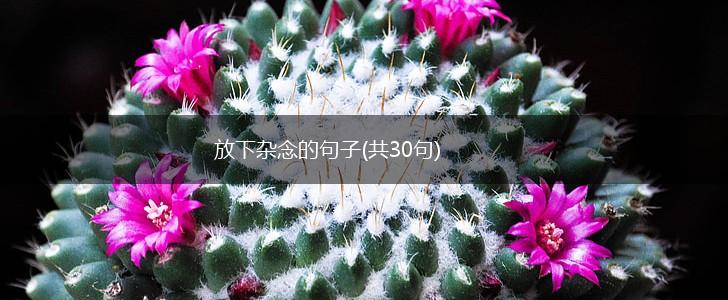 放下杂念的句子(共30句),第1张