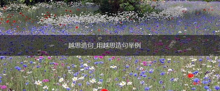 越思造句_用越思造句举例,第1张