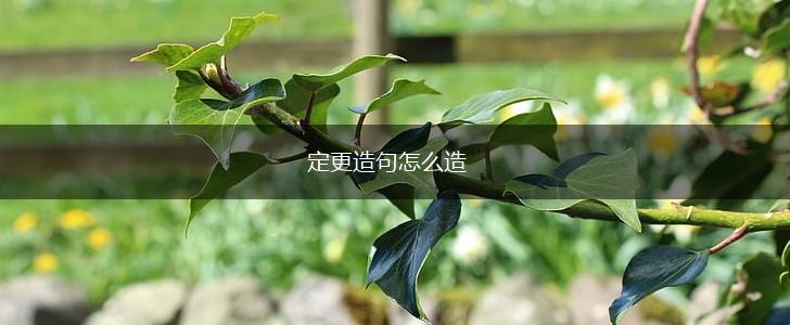 定更造句怎么造,第1张