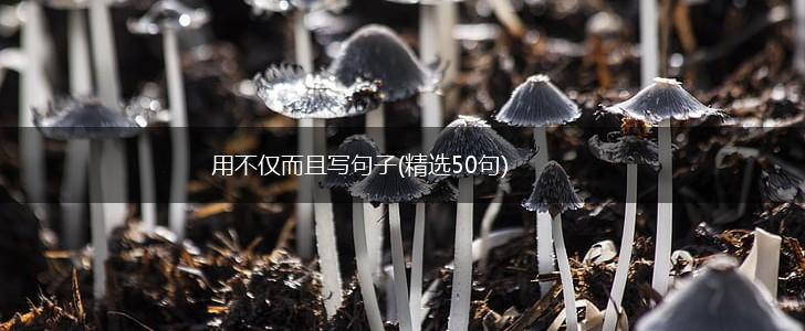 用不仅而且写句子(精选50句),第1张