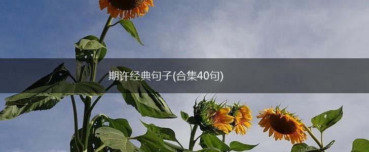 期许经典句子(合集40句),第1张
