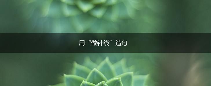 用“做针线”造句,第1张 用“做针线”造句,第1张