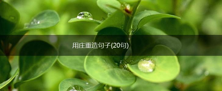 用庄重造句子(20句),第1张